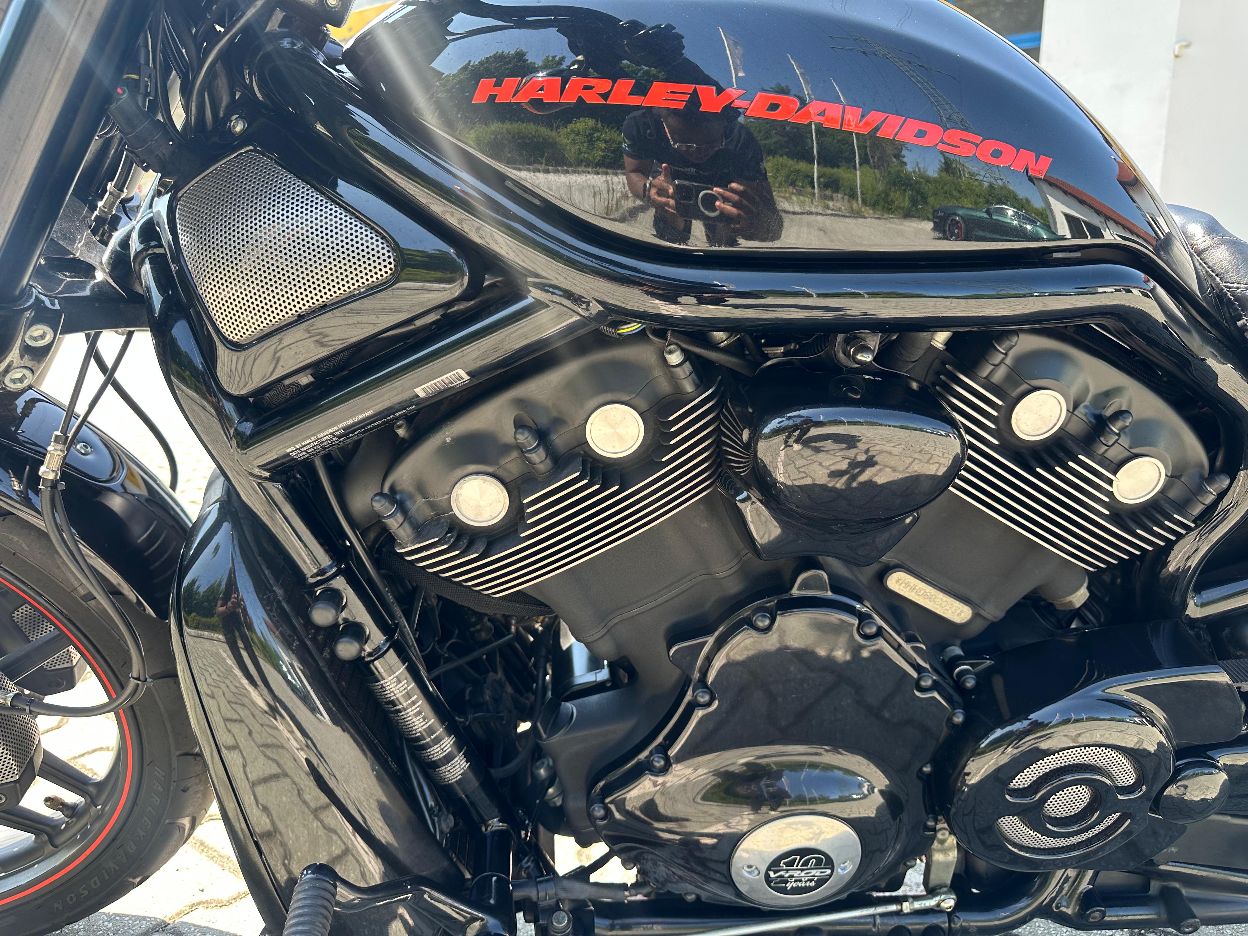 Harley 11