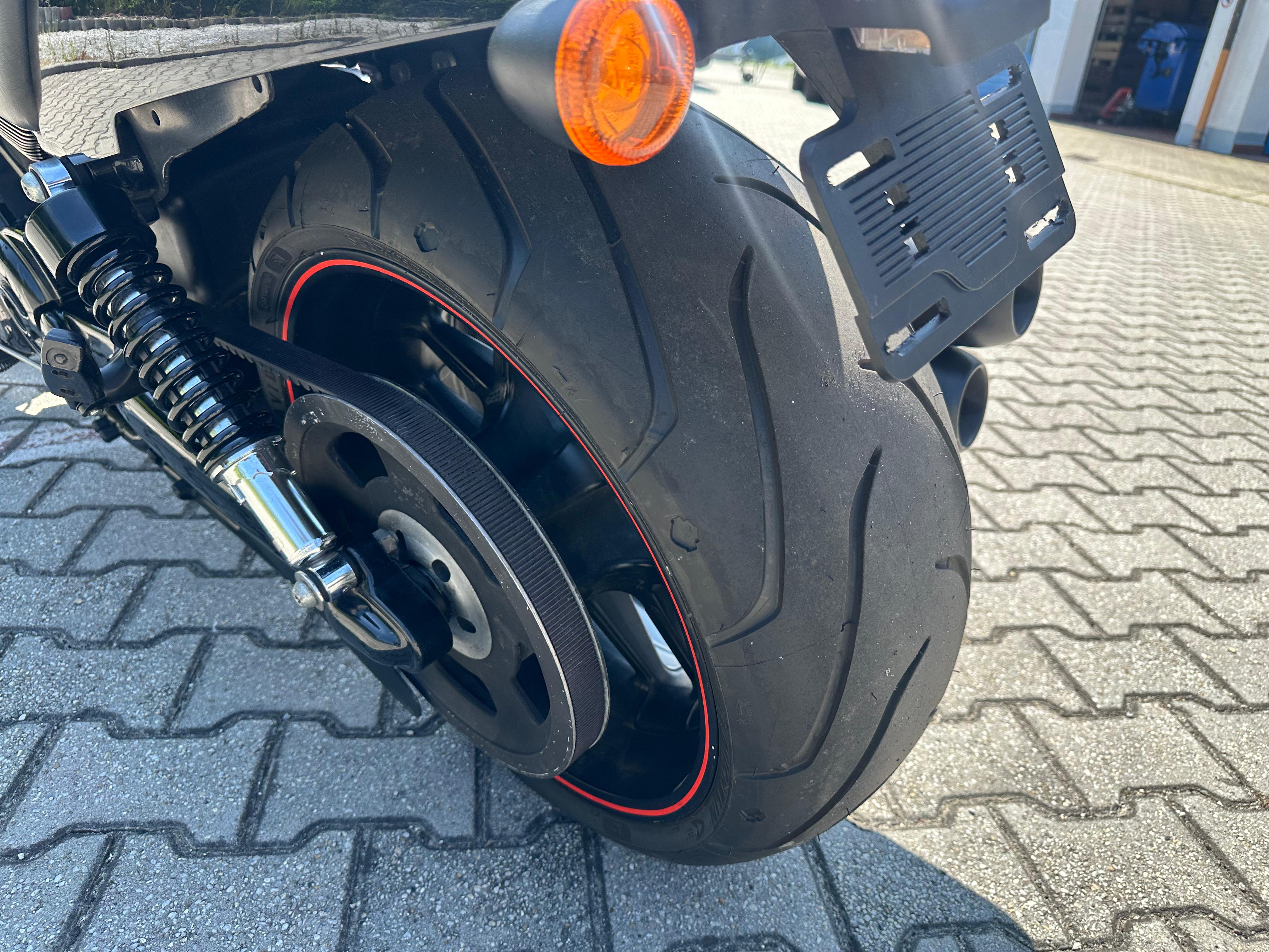 Harley 16