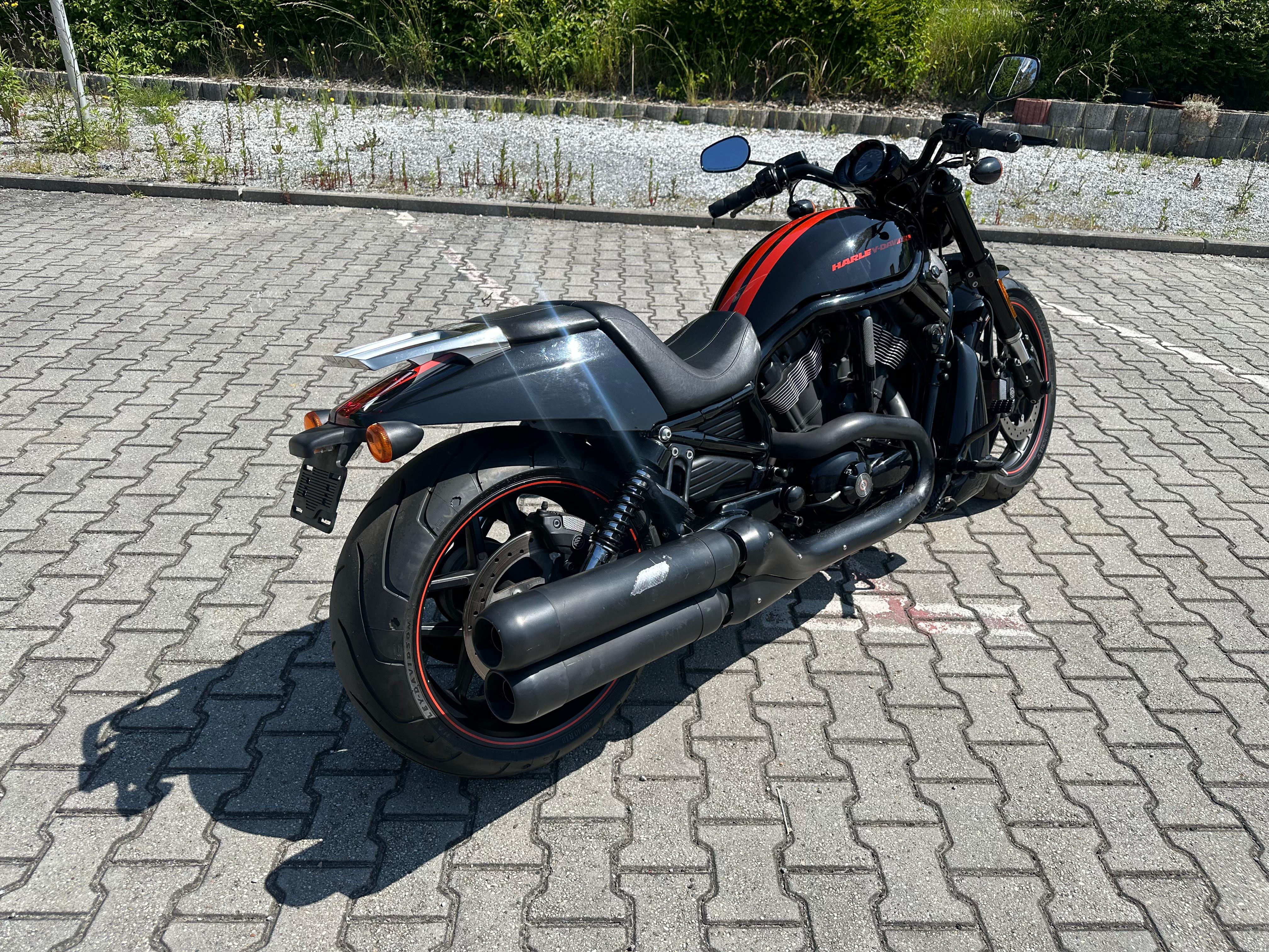 Harley 6